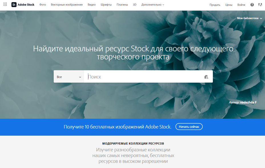 Adobe Stock заработок