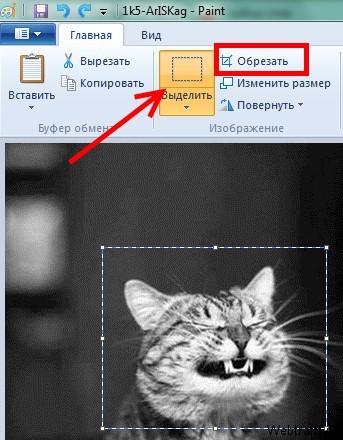 Как сделать аватар для любого сайта?