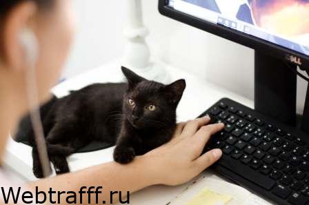 удаленная работа
