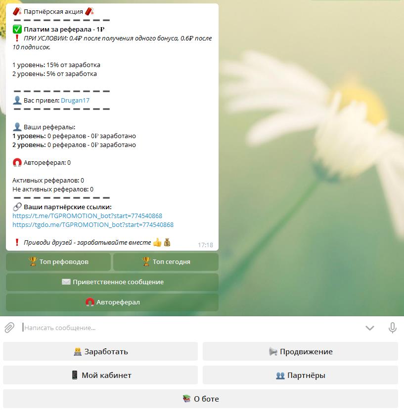TGPROMOTION партнерка