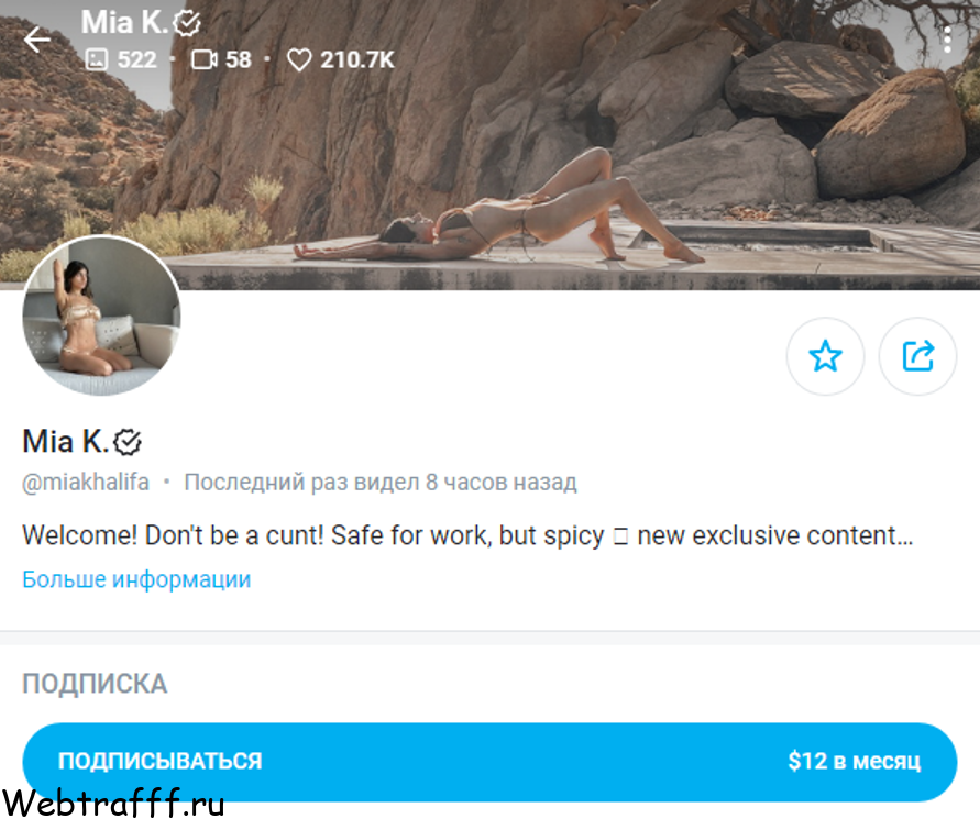 Заработок в социальной сети для взрослых Onlyfans