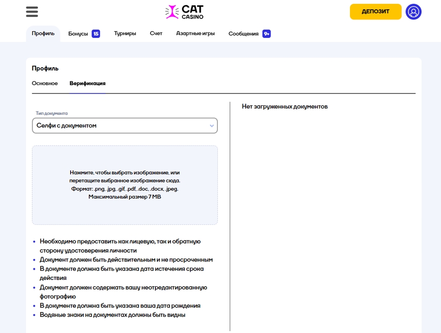 Cat Casino верификация